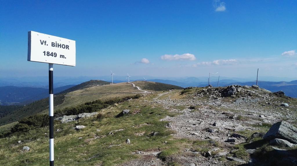Pensiunea Piatra Mandrutului スカリショアラ エクステリア 写真