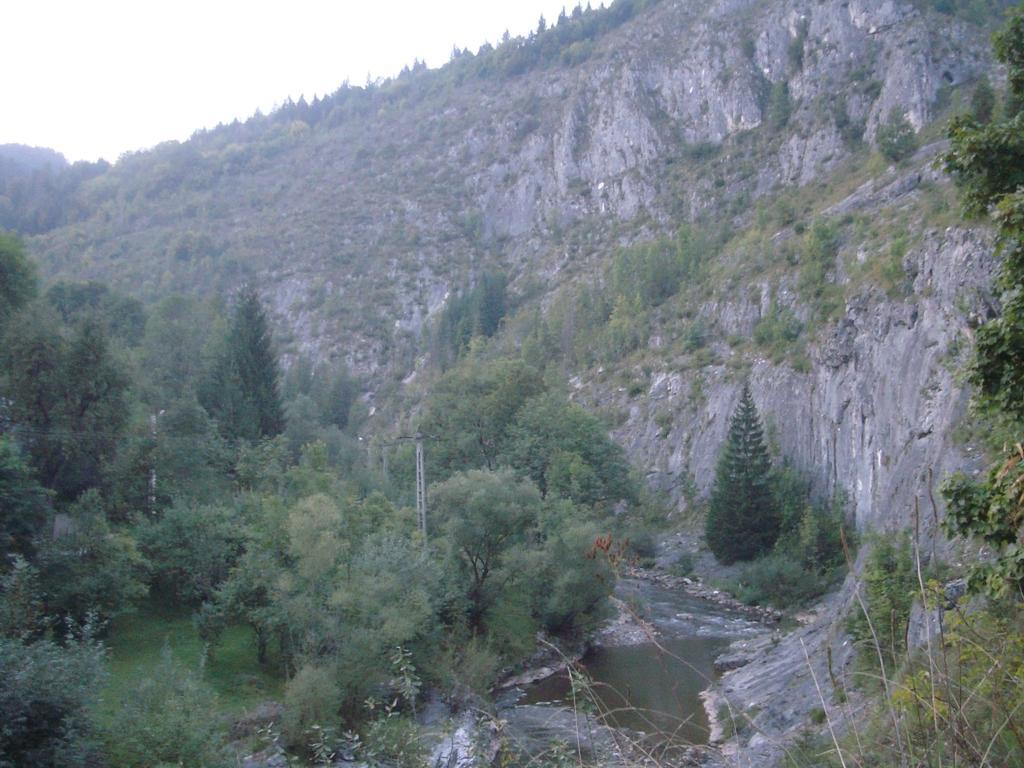 Pensiunea Piatra Mandrutului スカリショアラ エクステリア 写真