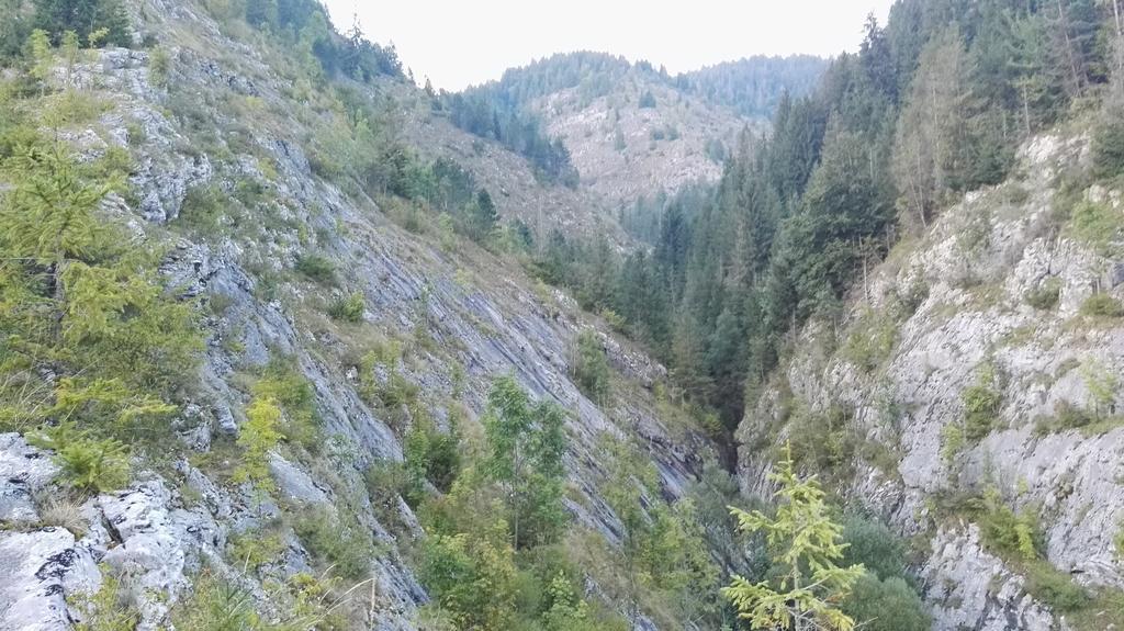 Pensiunea Piatra Mandrutului スカリショアラ エクステリア 写真